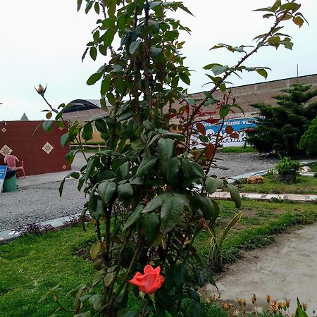 Motel Sahara Suites Barranca Zewnętrze zdjęcie
