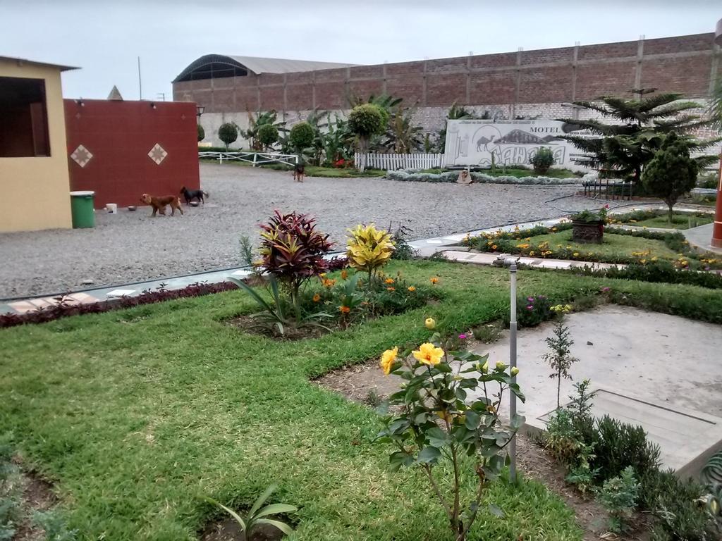 Motel Sahara Suites Barranca Zewnętrze zdjęcie